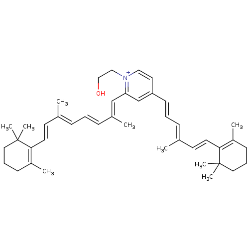 PNG