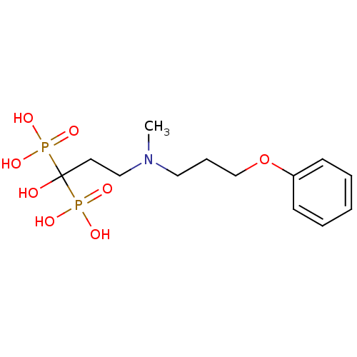 PNG