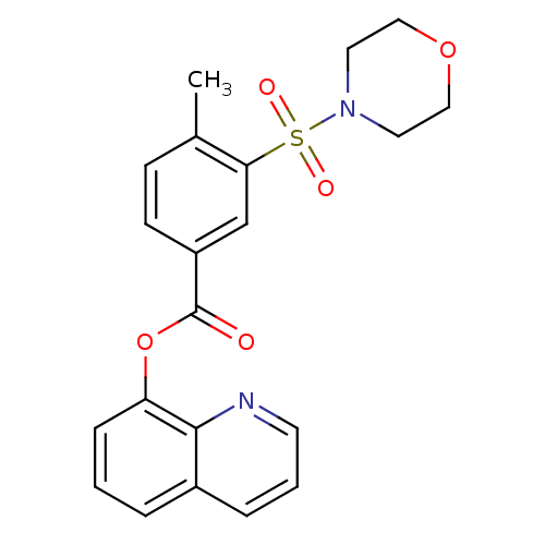 PNG