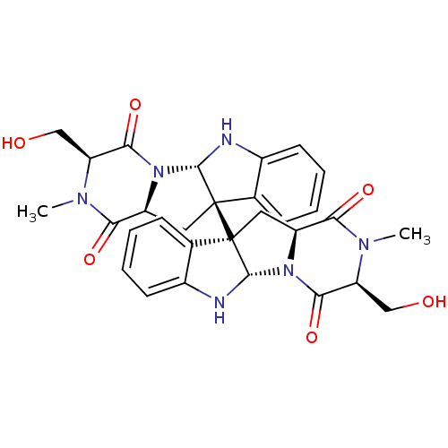 PNG