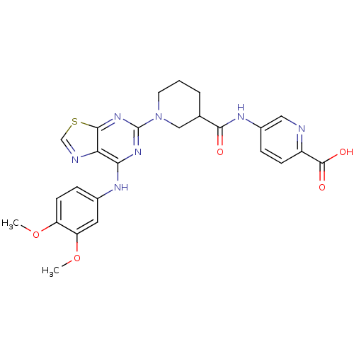 PNG