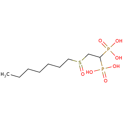 PNG