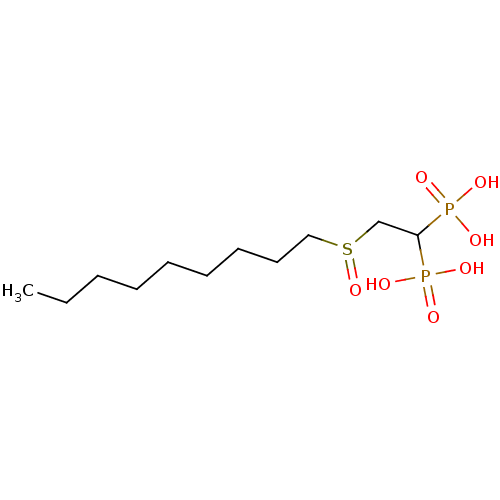 PNG