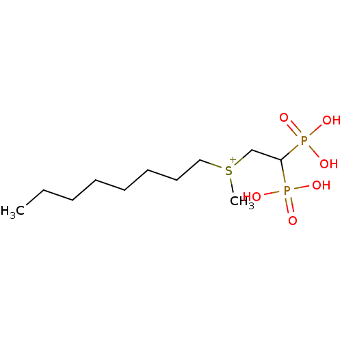 PNG