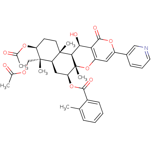 PNG