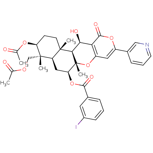 PNG