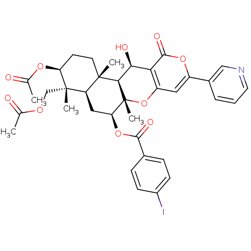 PNG