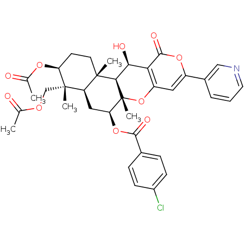 PNG
