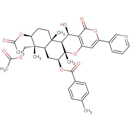 PNG