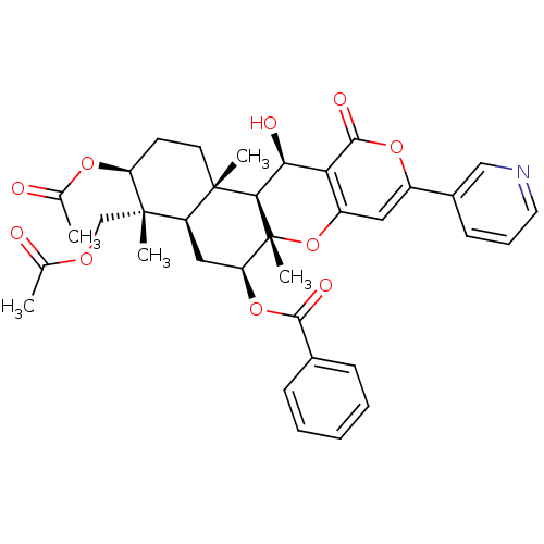 PNG