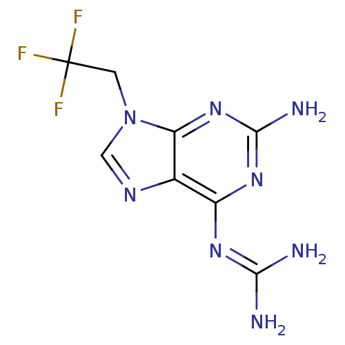 PNG
