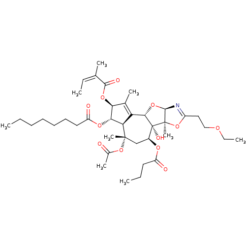 PNG