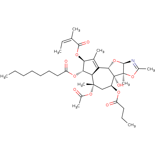 PNG