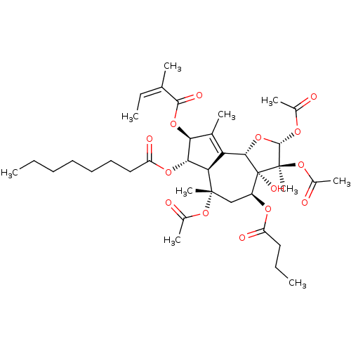 PNG