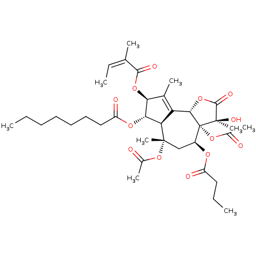 PNG