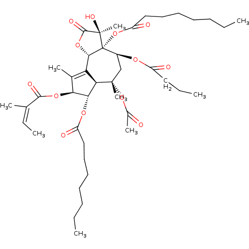 PNG
