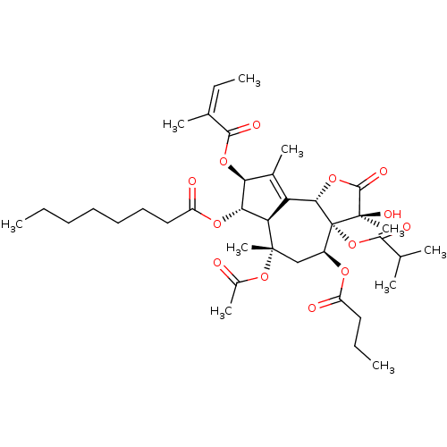 PNG