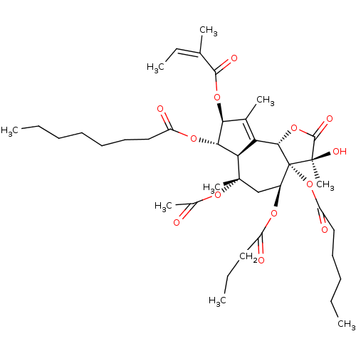 PNG