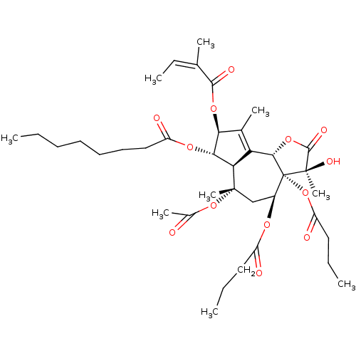 PNG