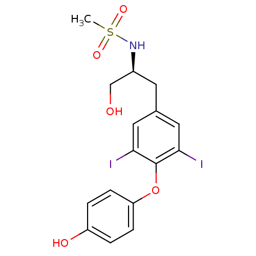 PNG
