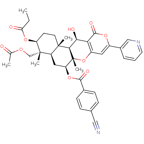 PNG