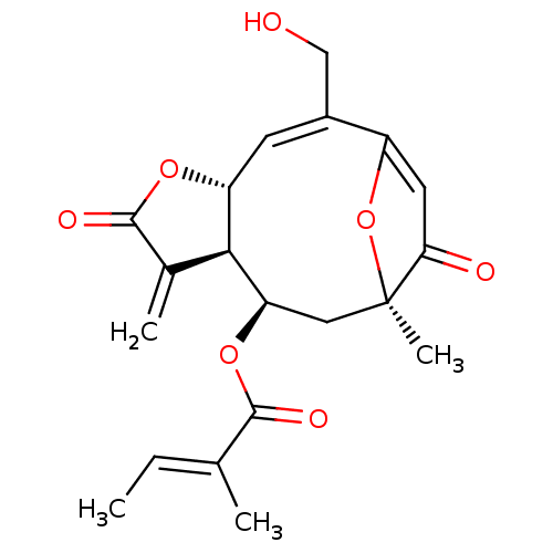 PNG