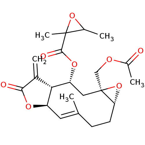 PNG