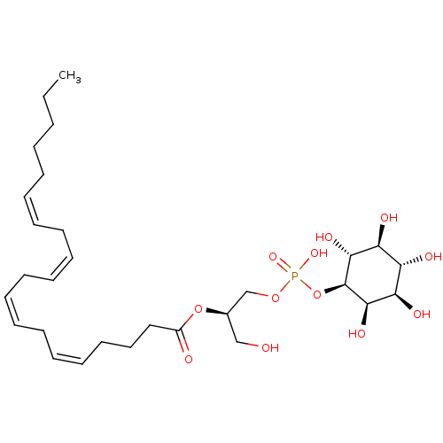 PNG