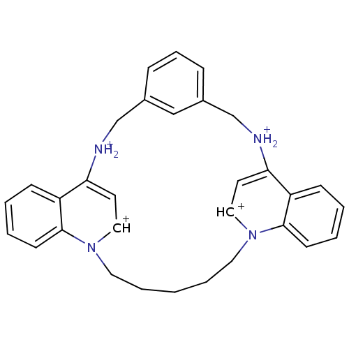 PNG