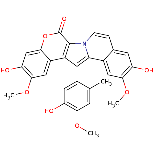 PNG