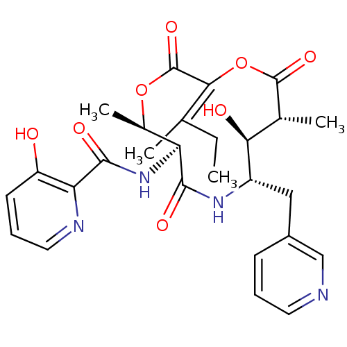PNG