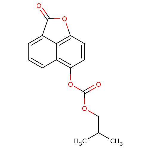 PNG