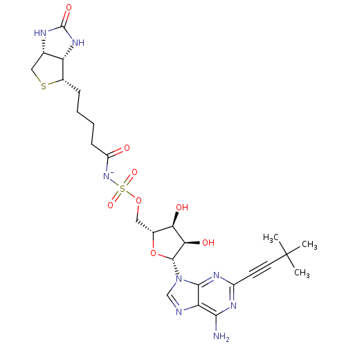 PNG