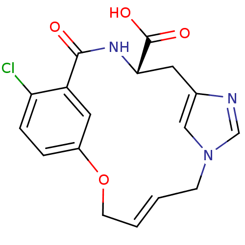 PNG