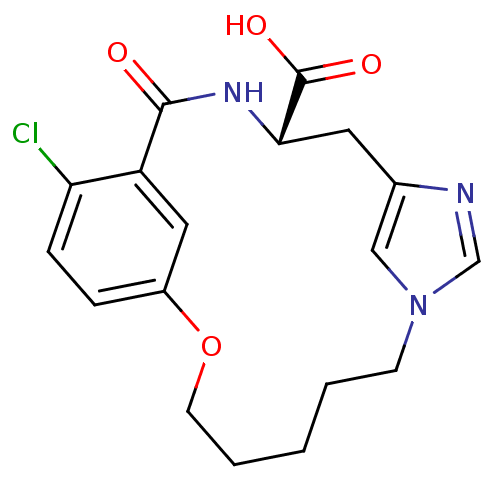 PNG