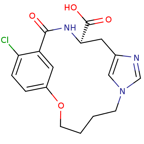 PNG