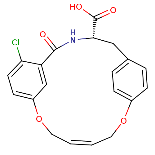 PNG