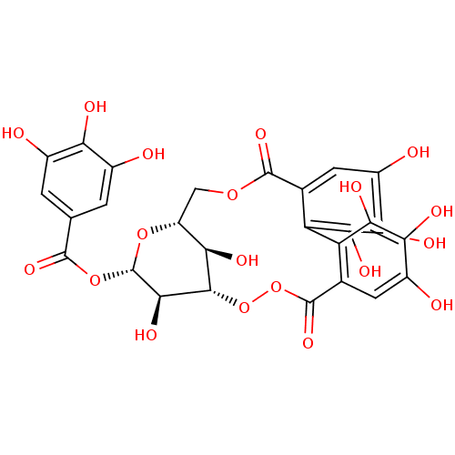 PNG