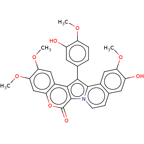 PNG