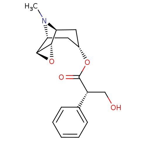 PNG
