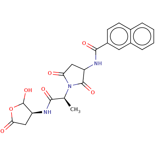 PNG