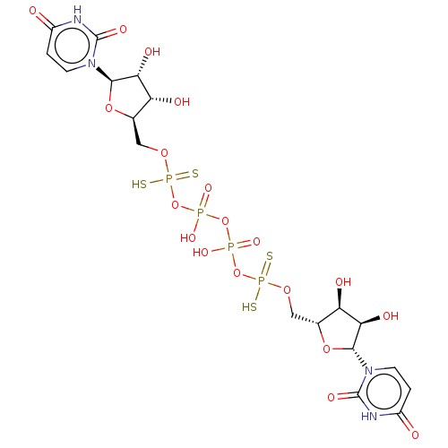 PNG