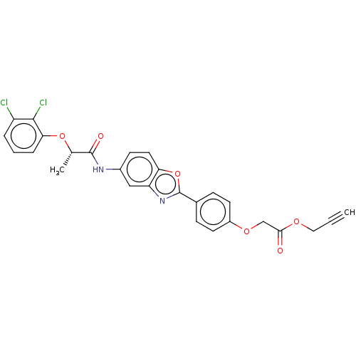 PNG