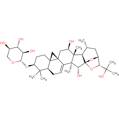 PNG