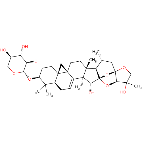 PNG