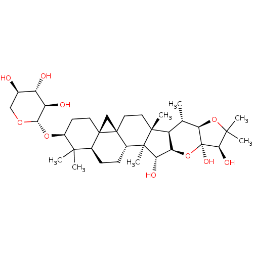 PNG