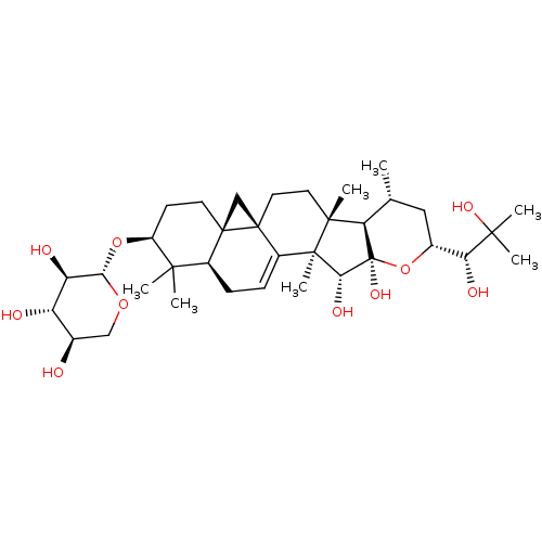 PNG