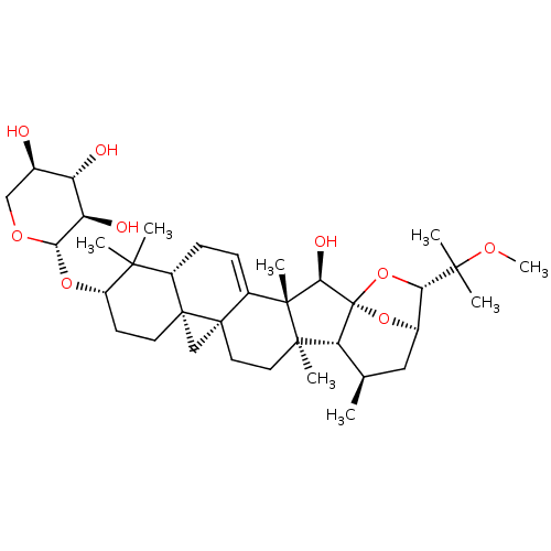 PNG