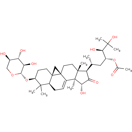 PNG