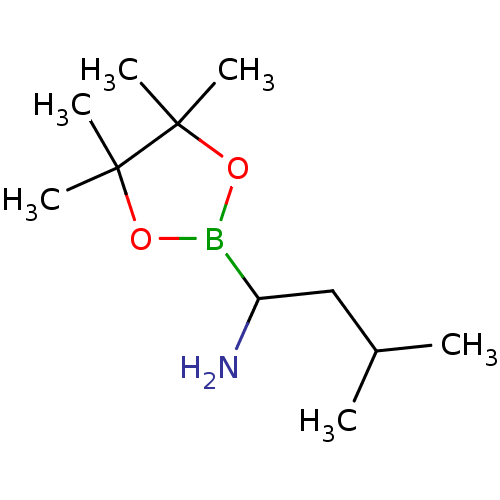PNG